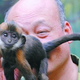 Illustration for article titled Zookeeper Saves Tiny Monkey By Licking Its Butt Until It Poops. Seriously.